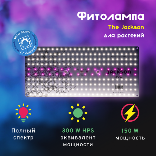  LED  The Jackson 150W     -     , -, 