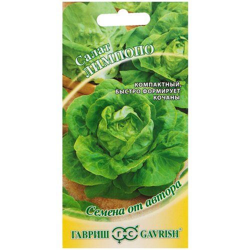 ���� ������ ����� ���� ������� ������ ������