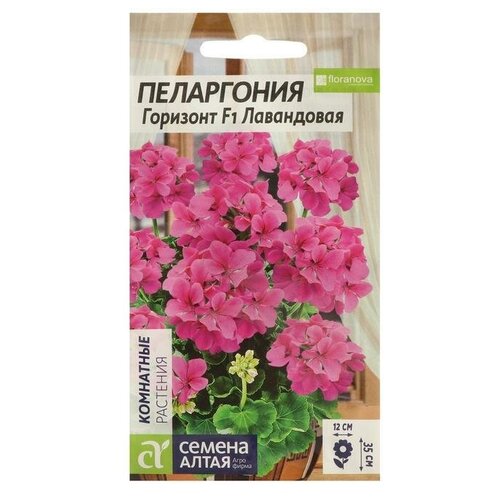 ���� ������ ������ ���������� 