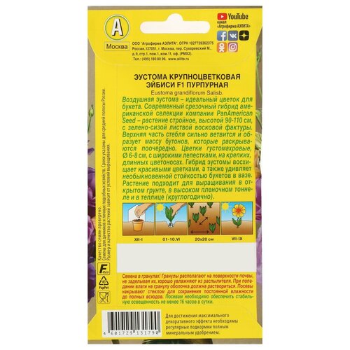 ���� ������� 