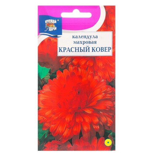 ���� ������ ������ ��������� �������� 