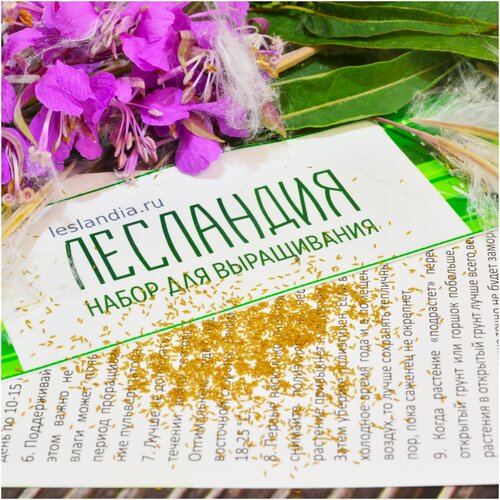 ���� ����-��� ������, ������, 500 �� ������ ������