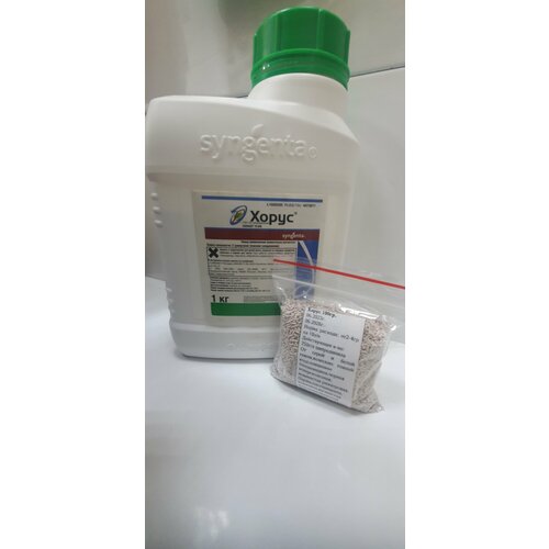 ���� ����� 100��(������ �������) ������ ������