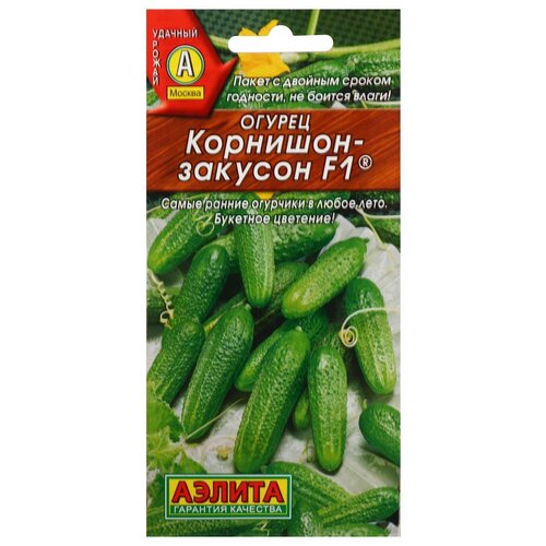 ���� ������ ������ 