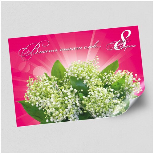 ���� ����������/������ �������������� �� 8 ����� / �-0 (119x84 ��.) ������ ������