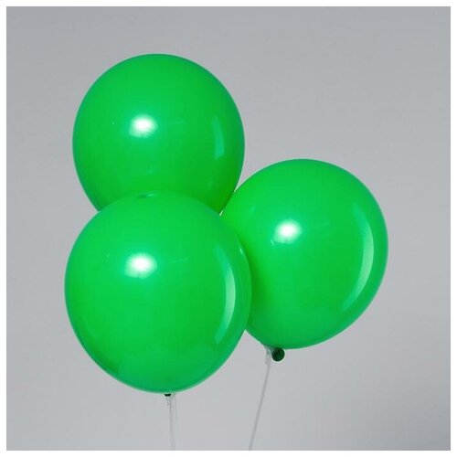 ���� ��� ��������� 12