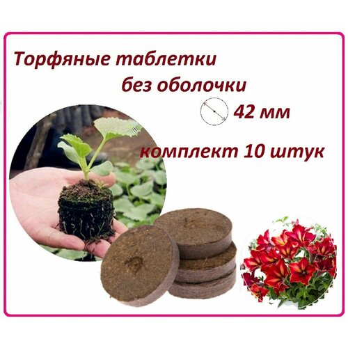 ���� �������� �������� ��� ������� ��� ��������, 10 ����, d 42 ��, ����� ��� ������������ ����� ����� ������, ������ � �������� ������ ������