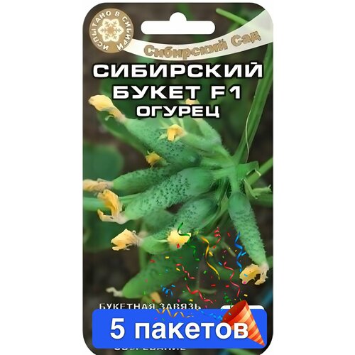 ���� ������ ������ ��������� ��� 