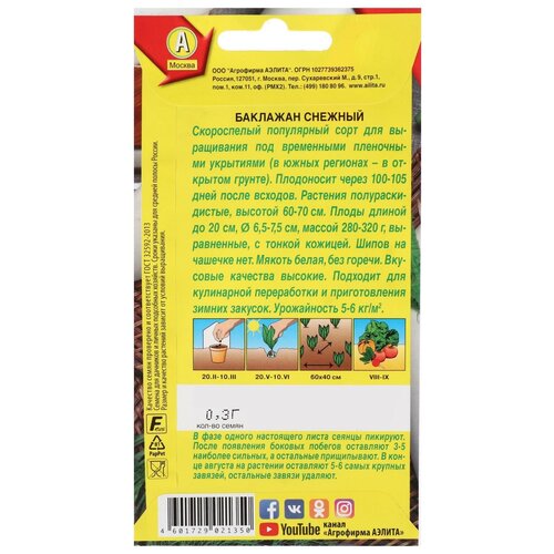 ���� ������ �������� 