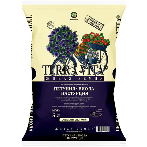 ���� ����� ����� ����� �������-�����-���������, 5 � ������ ������