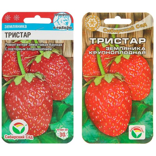 ���� ������ ��������� (��������) ������������ ������������� 