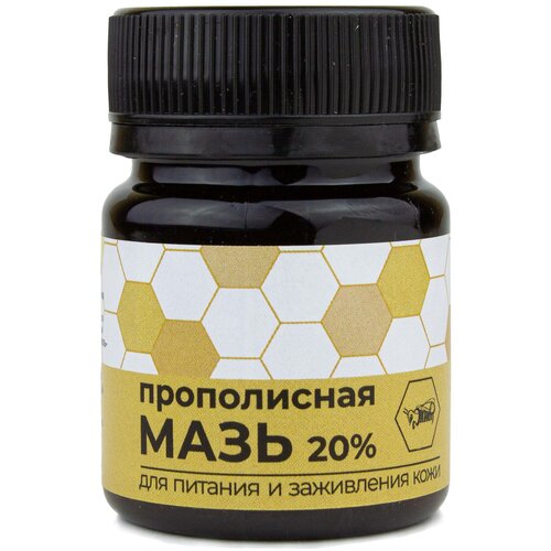 ���� ���� ����������� ��� ����, ������� ����������, ������������, ��������������� 40 ��. ������ ������