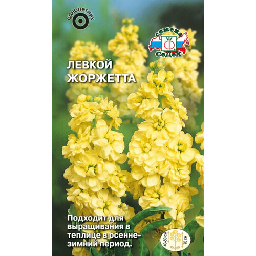 ���� ������ �������� (�������� �����, ������) 0,1�. (�����) ������ ������