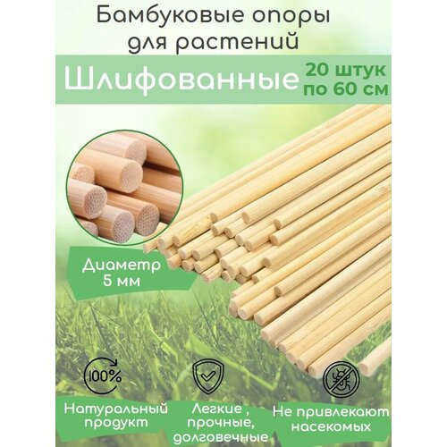 ���� ���������� ����� ��� ��������, ������ � �������, ����������� ����� 60 �� 20 ����, ������� ������� ������� 5 �� ������ ������