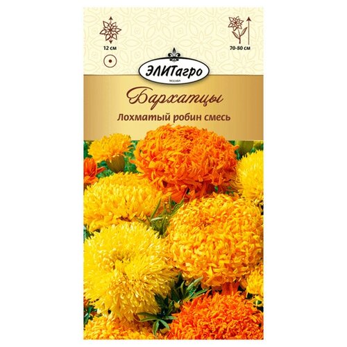 ���� �������� �������� ����� ����� (0,3 �), 2 ������ ������ ������