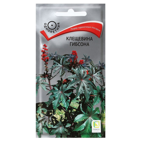 ���� ������ ����� ��������� ������� 2 � ������ ������