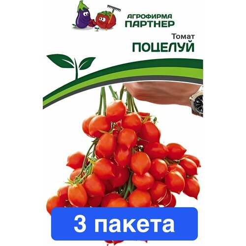 ���� ������ ������ ��������� ������� 