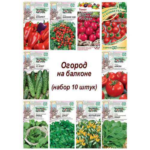 ���� ������, ����� ������ �� ������� - 10, 10 �������, �����, �����, ������, �����, ����� ������ � ������ ������ ������