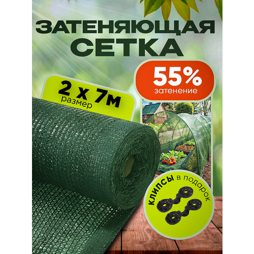 ���� ����� ���������� �������, ��������� 55%, ������ 2�7� ������ ������