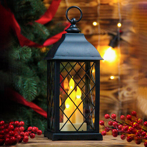 ���� ���������� ���������� ������������ 