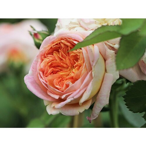 ���� ���� ��������� �������� 2�� ������ ������