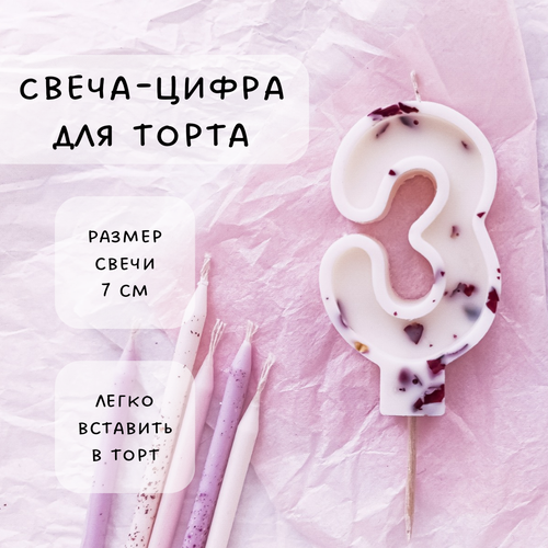 ���� ����� ��� ����� ����� 3, ������ ������, 1�� ������ ������