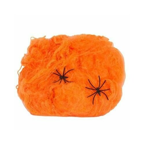 ���� ������������ ������������� ������� ��������� �� �������� � ��������, ������������ ��������� ������ ������