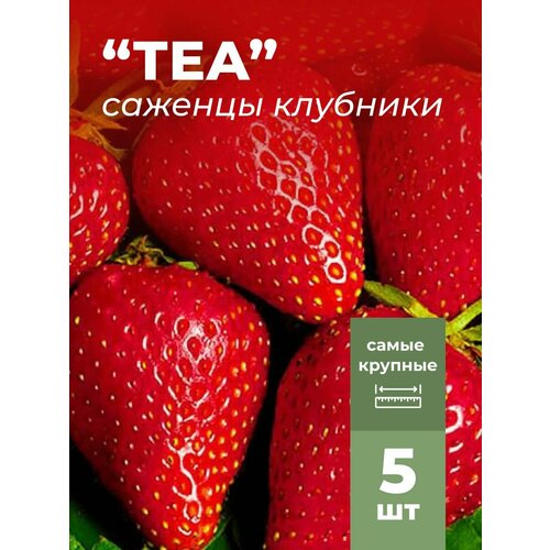 ���� �������� ����� ������������� ��� �������/��������� �������� 5 �� ������ ������