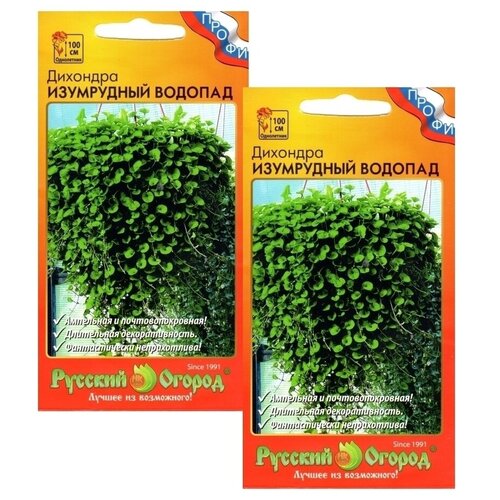 ���� �������� ���������� ������� 2 ������ ����� ������ ������