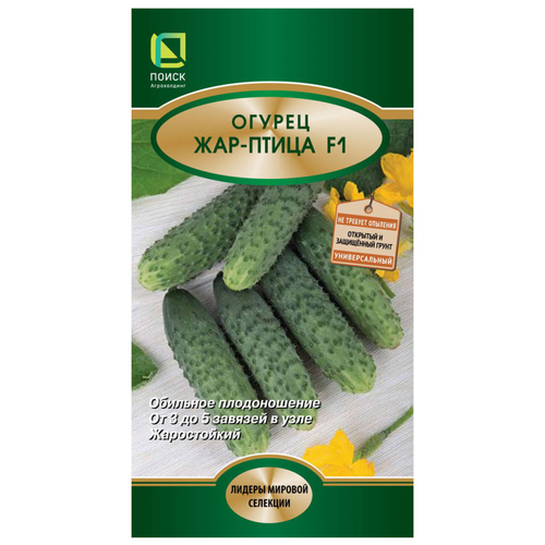 ���� ������ ������ ���-����� F1 12 ��. ������ ������