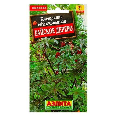 ���� ������ ������ ��������� 