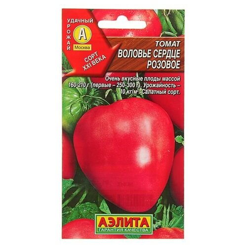 ���� ������ ����� ������� ������ ������� 20�� (������) ������ ������