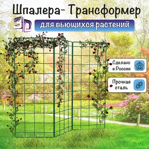 ���� ������� ����������� 3� ������������� ��������� ��� �������� ��������, ���, ��������� ������ ������