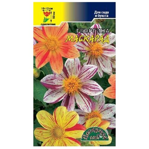 ���� ������ �������� ��� 