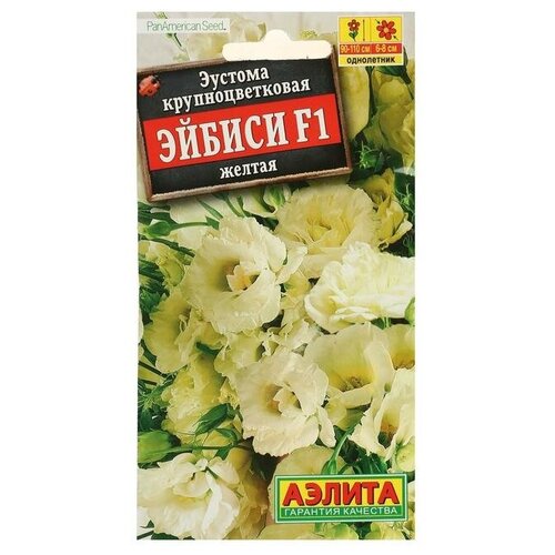 ���� ������. ������� 