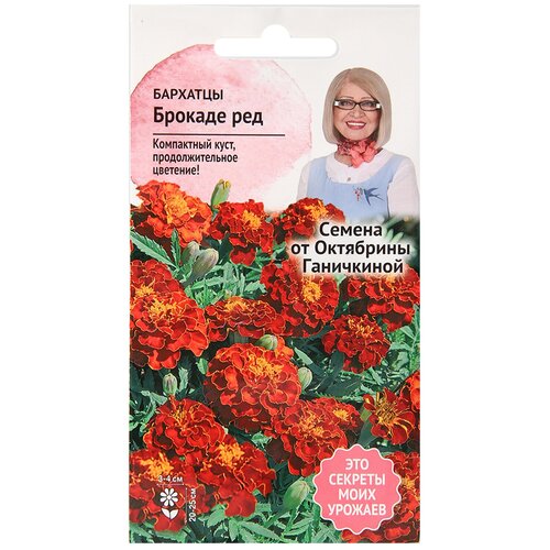 ���� �������� ������� ��� 0,3 � / ������ ���������� ������ ��� ���� / ���������� ����� ��� ������� � ����� / ��� ���� ���� ���� / ������ ������