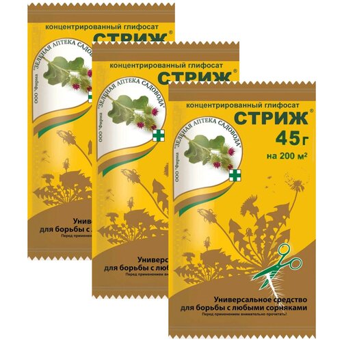 ���� �����. �������� �� �������� ������� ������ �������� 