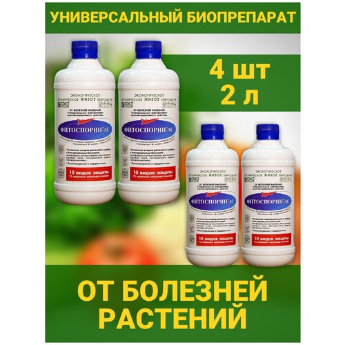 ���� ���������� �� ������������� ��������� ������������������ �������� ��� ������������ ������ ������� �������� �� ������� �������� 4 ������� �� 0,5� ������ ������