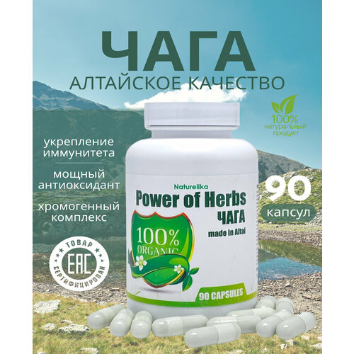 ���� ���� � �������� ������ ������