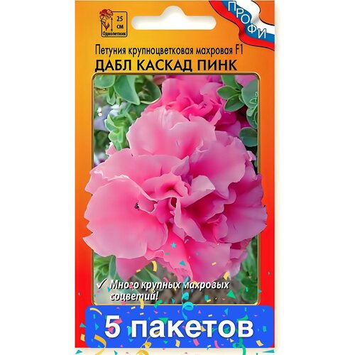 ���� ����� ������� ���� ������ ���� F1 �������� 5 ������� ������ ������