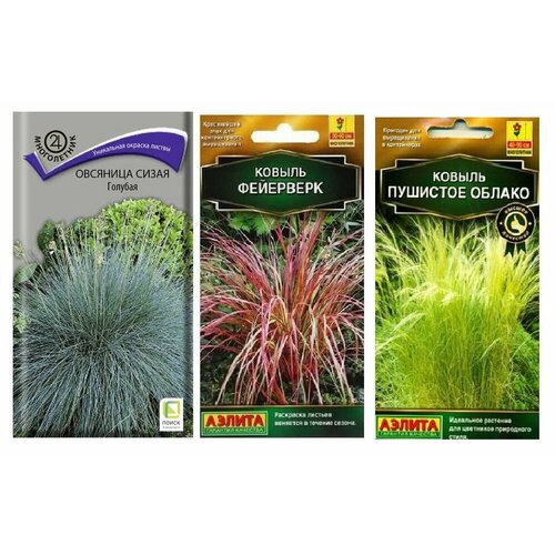 ���� ����� ����� ������������� 