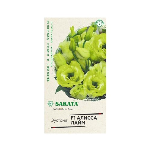 ���� ������. ������� ��������������� 