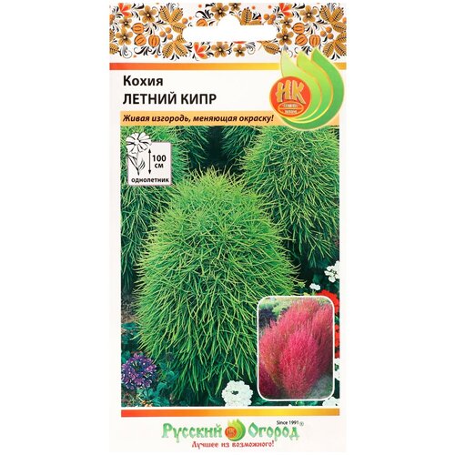 ���� ������ ������� ������ ����� ������ ���� 0.3 � ������ ������