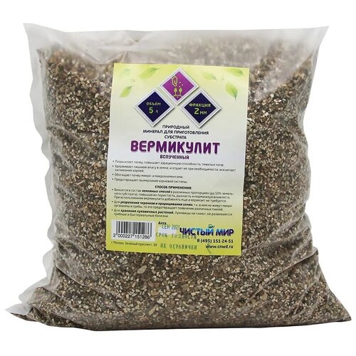 ���� ���������� ������ ������� (2 ��), 5 ������ ������ ������