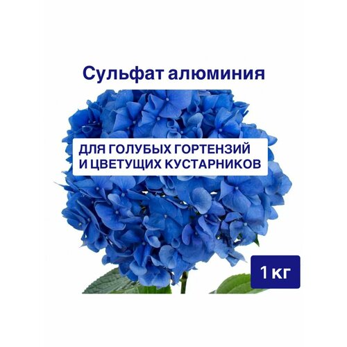 ���� ������� �������� ��� ��������� 1 �� ���� ������ ������