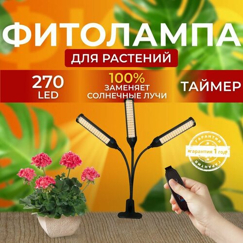 ���� ��������� ��� ����������� �������� ������� ������ ������ �������������� ������������ ��� ������ �� ������ ������� � ��������� � ��������, 3 ����� ������ ������