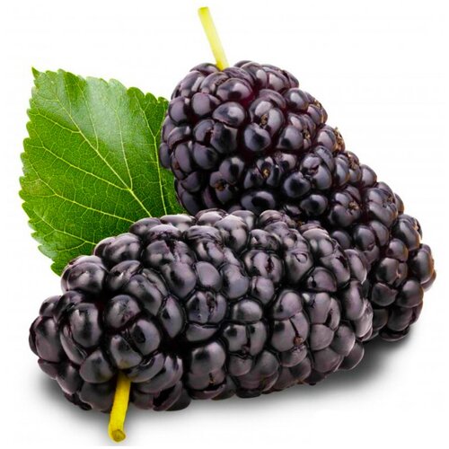 ���� ������ ��������� ��������� ������ ����������, 30 �� ������ ������