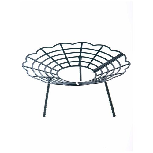 ���� ����� ��� �������� 