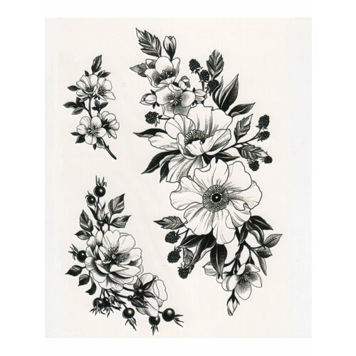 ���� ��������� ���� ������, ���������� ����������, �����, ����, ���������, ����, �����, ���������� ������ ������