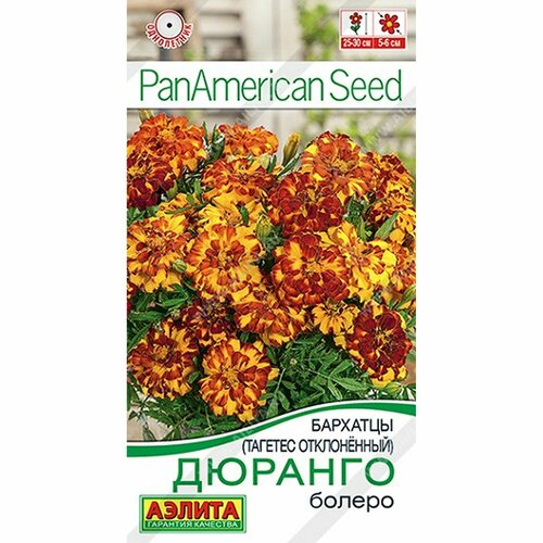 ���� ������ �������� ������� ������ ����������, (������) 7�� PanAmerican ������ ������